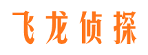 亚东侦探